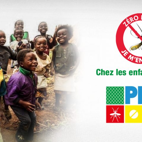 Données clés sur le paludisme au Cameroun